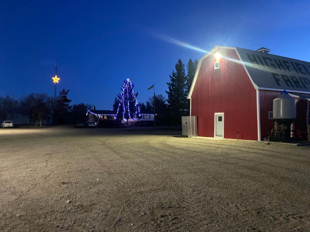 Star up, lights on — December at the yard.